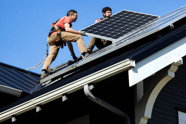 Best Roof Moss and Algae Removal  in Fanwood, NJ